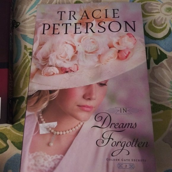 2351 Tracy Peterson 3 Book Series Golden Gate Secrets - Picture 4 of 7